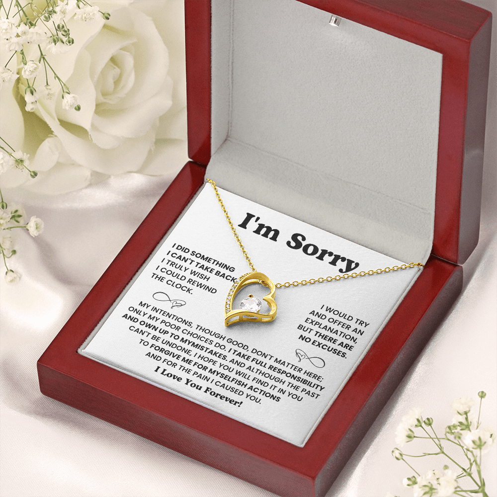 For Her: I'm Sorry Pendant Necklace with Message Card — " I take full responsibility and own up to my mistakes" • Forever in My Heart Necklace