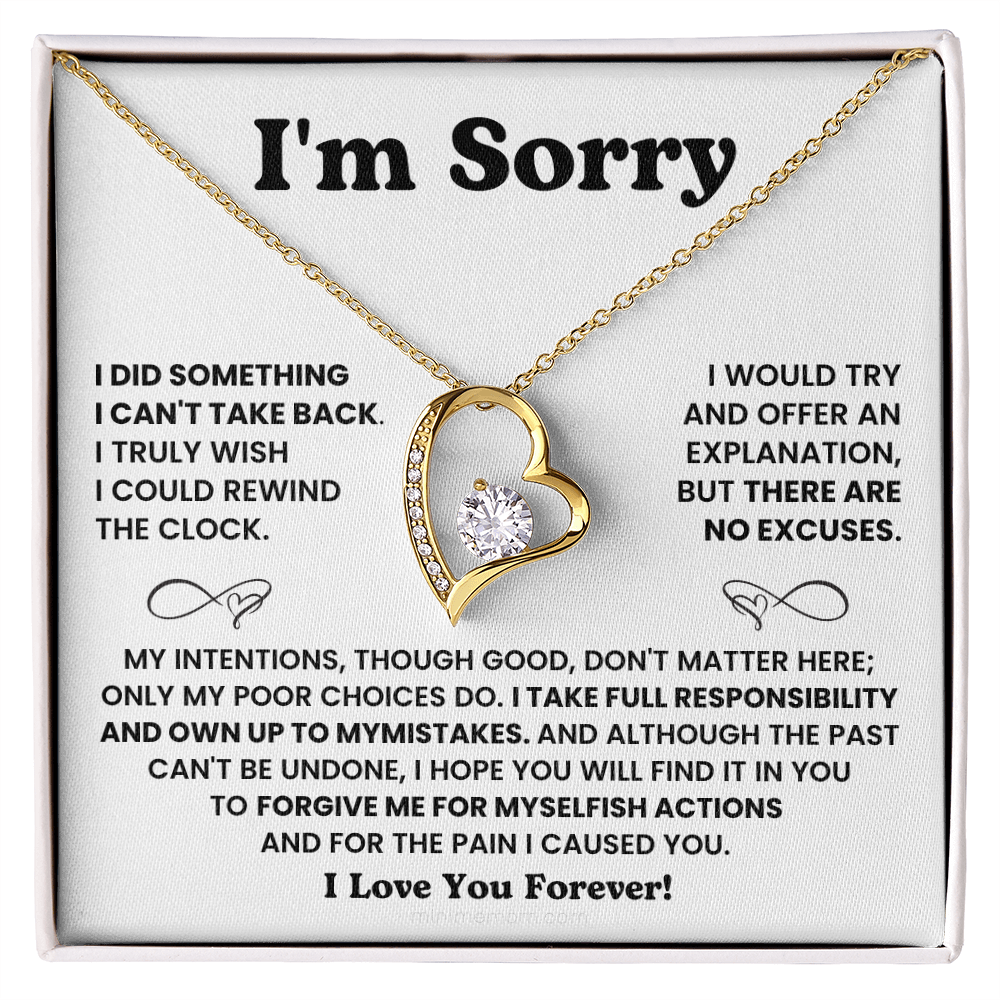 For Her: I'm Sorry Pendant Necklace with Message Card — " I take full responsibility and own up to my mistakes" • Forever in My Heart Necklace