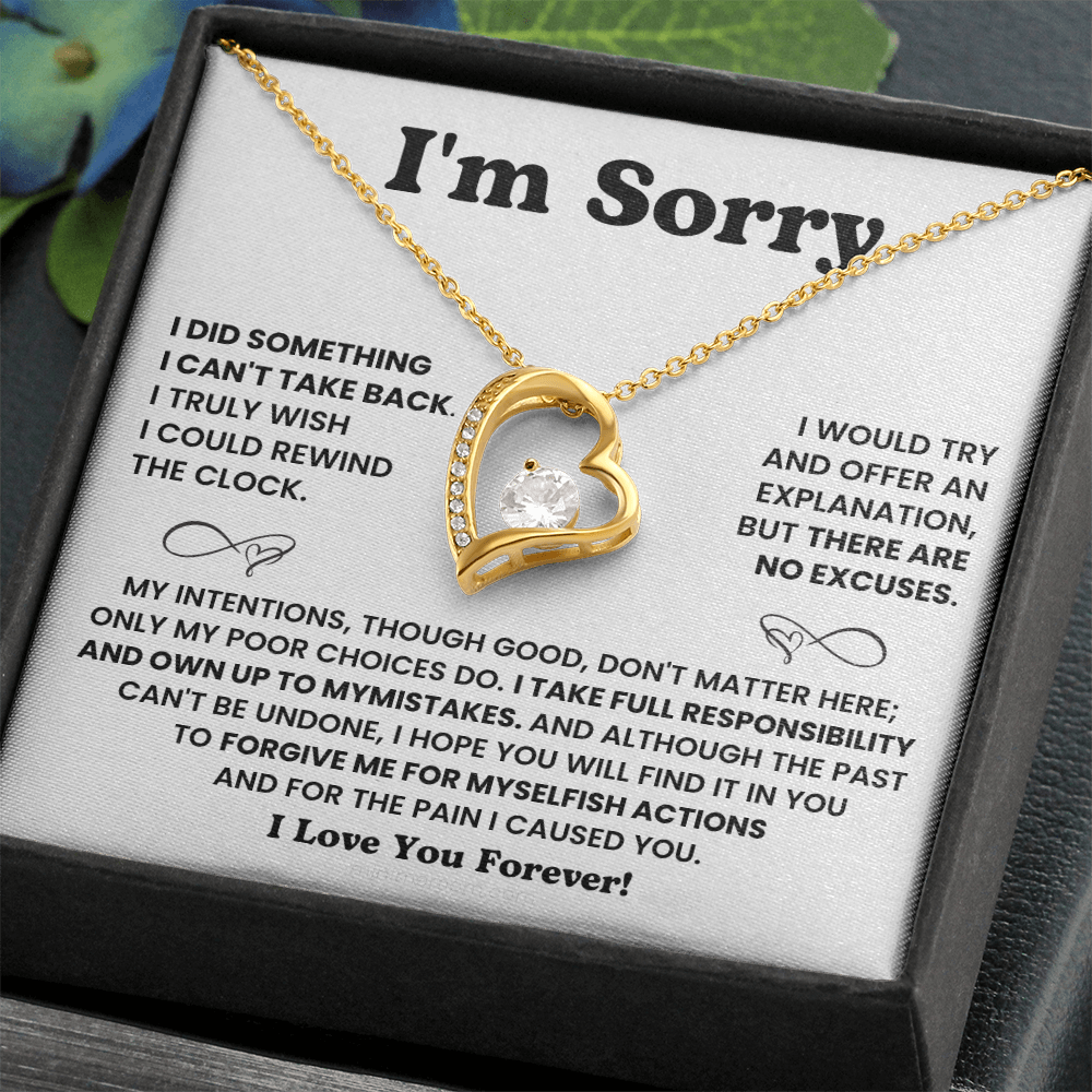 For Her: I'm Sorry Pendant Necklace with Message Card — " I take full responsibility and own up to my mistakes" • Forever in My Heart Necklace